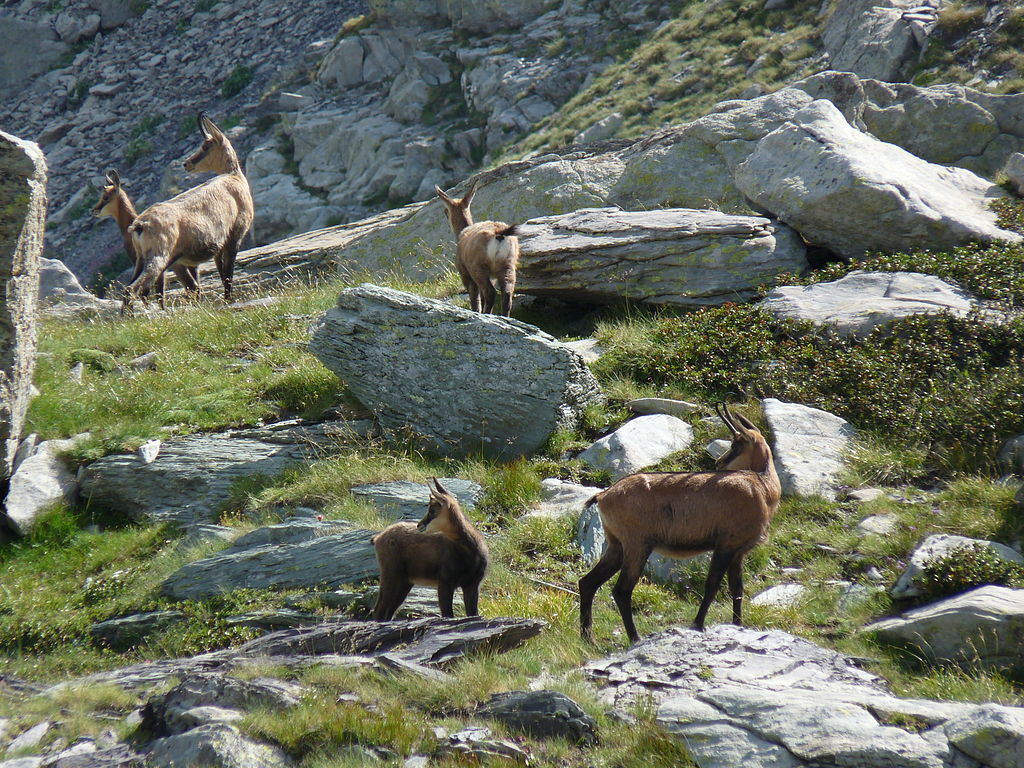 Chamois, il paese tra le Alpi Valdostane