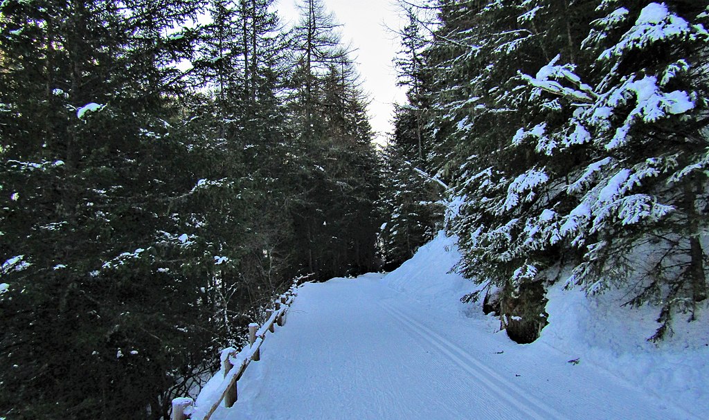 Cogne, slitte sulla neve e pranzo valdostano