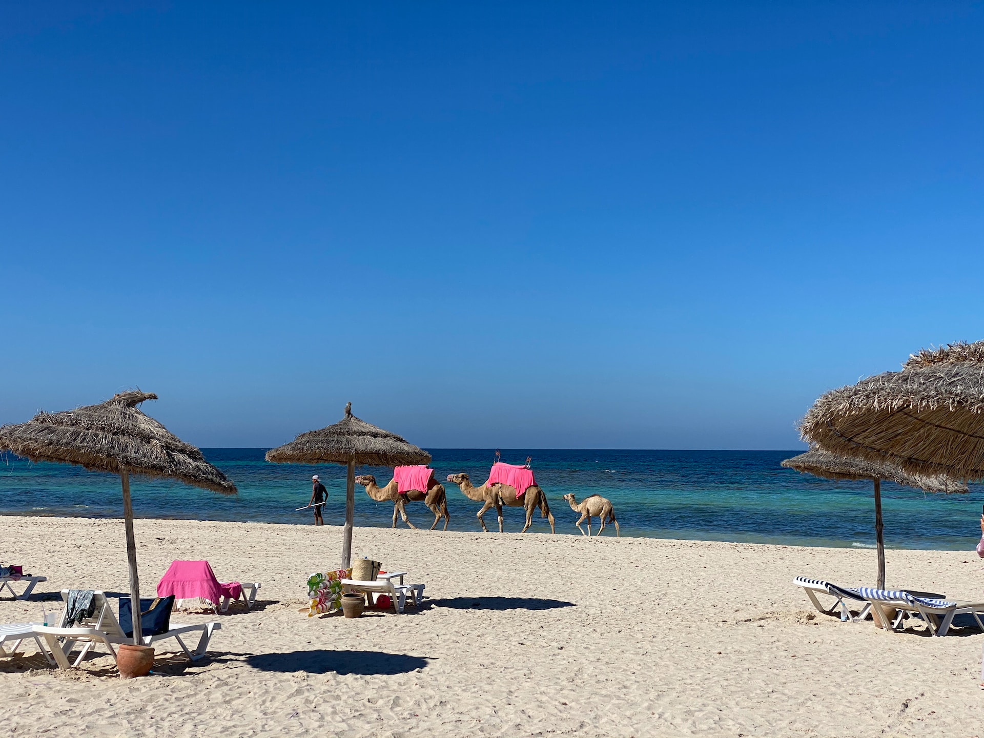 Foto di Aleksandr Sali | Unsplash Licence SOGGIORNO MARE A ... DJERBA