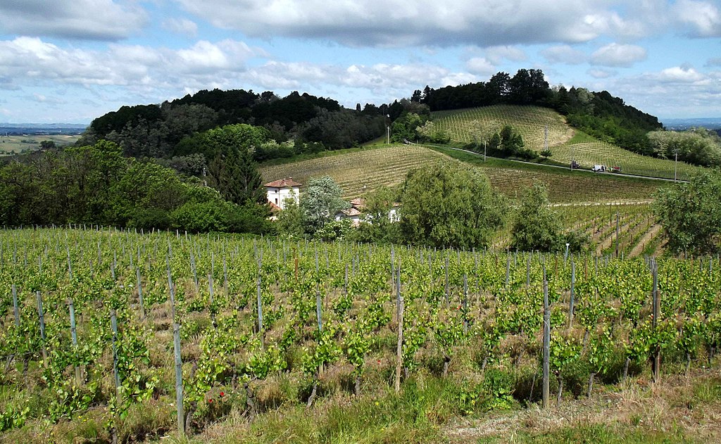 NATURA E SAPORI TRA LE COLLINE DEL GAVI E LA LIGURIA