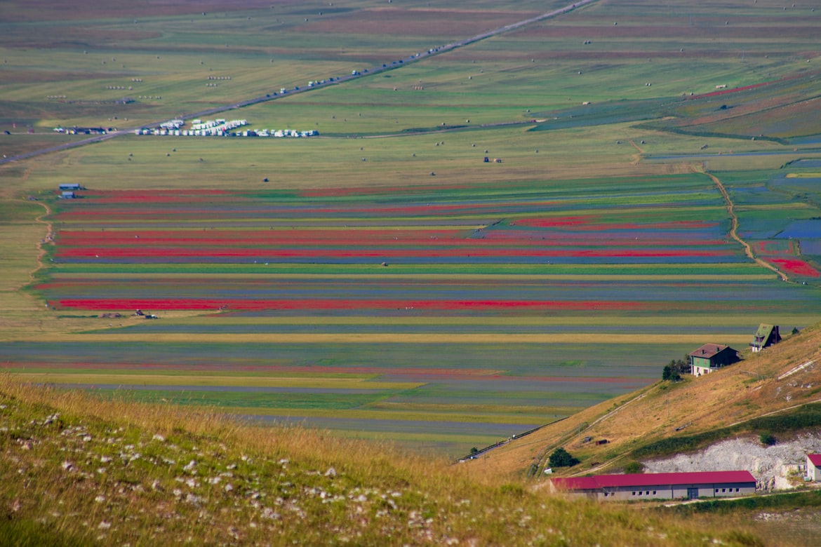 Umbria: cascata di colori per la fioritura delle lenticchie